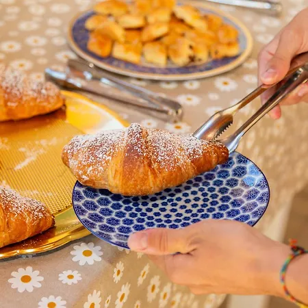 Alojamento de Acomodação e Pequeno-almoço Mariposa