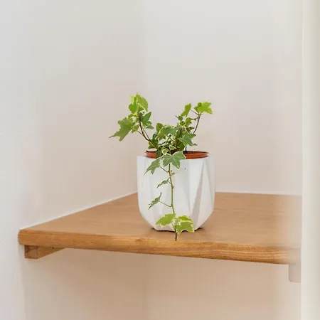 فندق مبيت وإفطار Mariposa